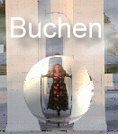 Reise Versicherung online